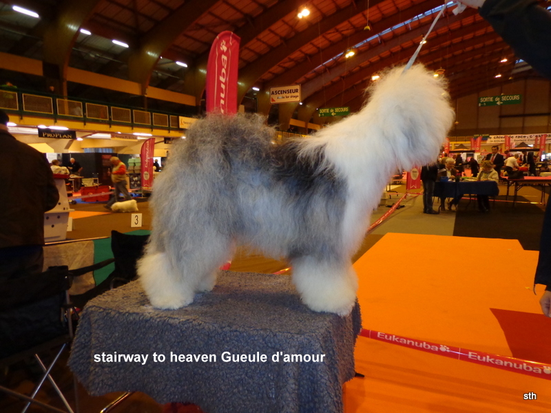 Stairway to Heaven Gueule d' amour